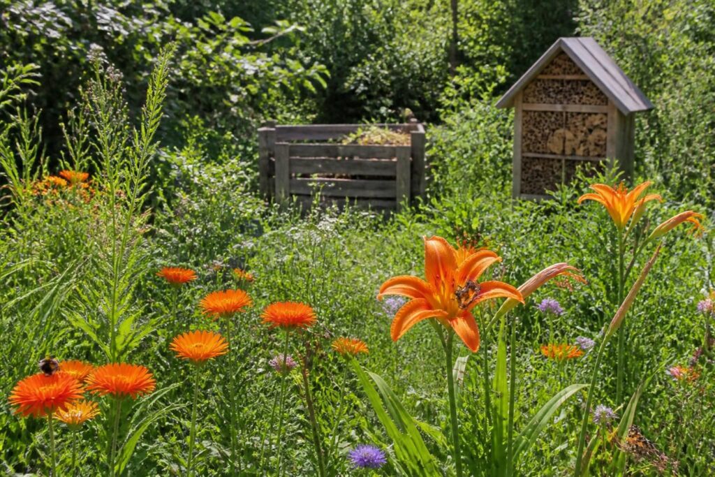 Fleur orange : comment intégrer cette couleur vive dans votre jardin écologique ?
