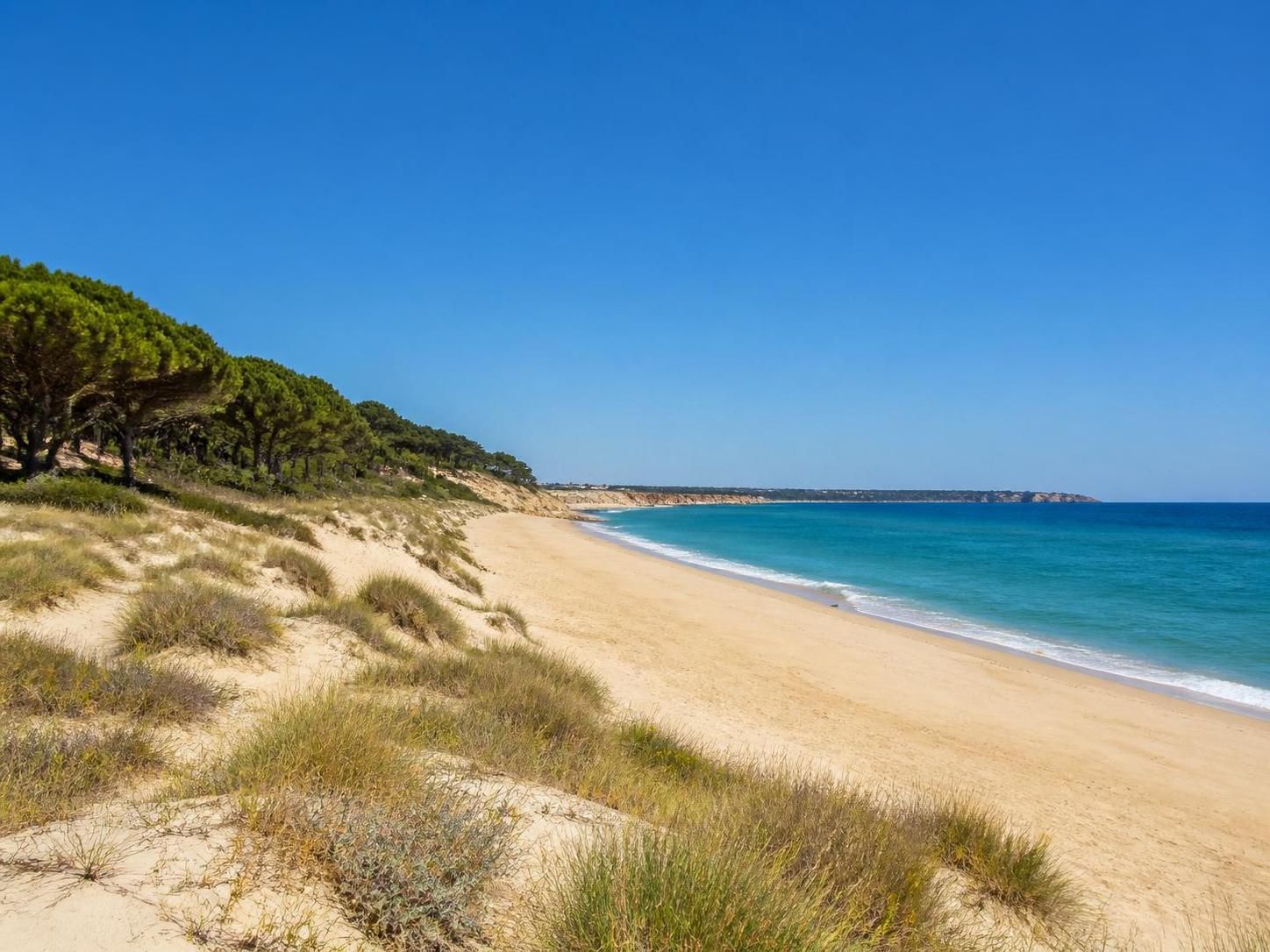 découvrez nos destinations préférées pour partir au soleil en juin à petit prix et profitez pleinement de vos vacances estivales sans vous ruiner.