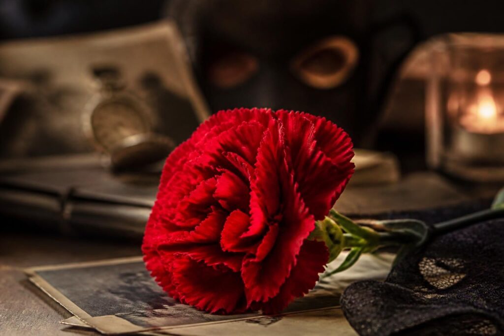 Œillet : quelle signification secrète se cache derrière cette fleur élégante ?