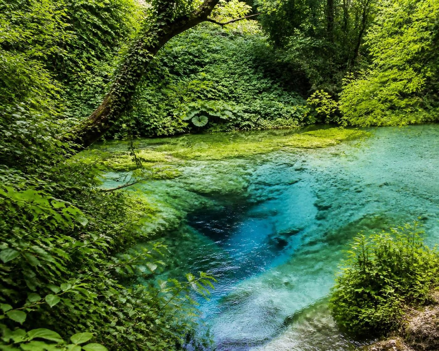 découvrez blue eye albania, une source d'eau turquoise spectaculaire où la plongée révèle un monde naturel fascinant au cœur de l'albanie.
