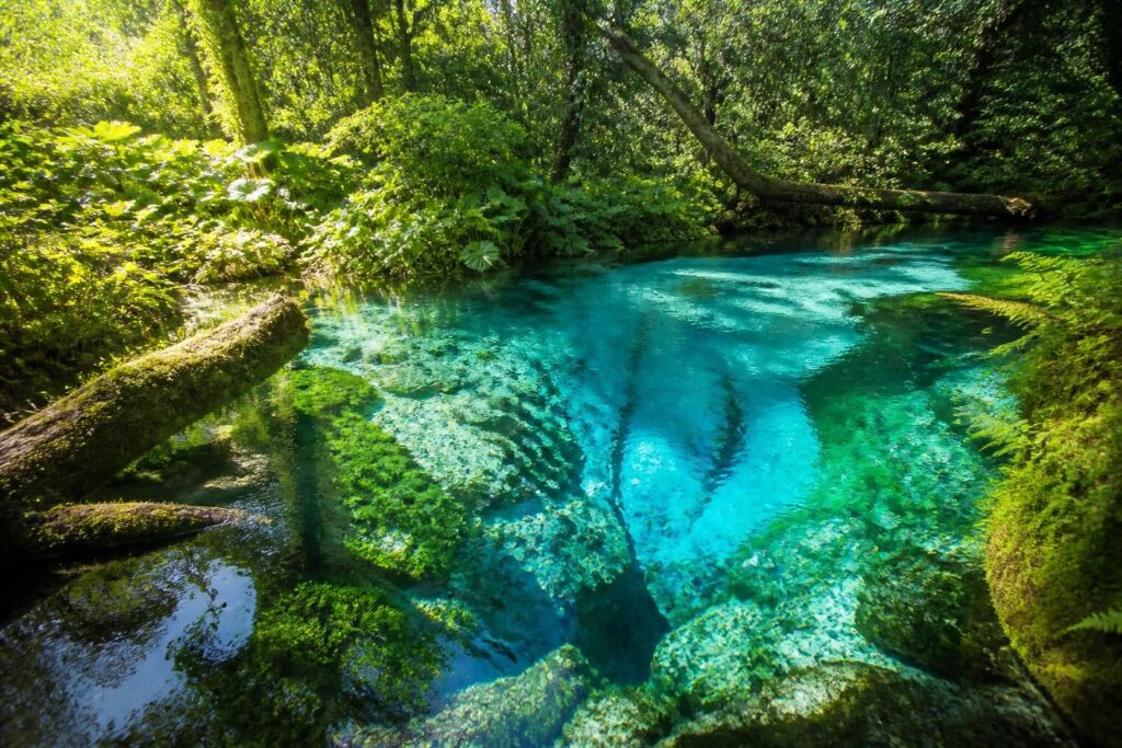 découvrez blue eye albania, une source d'eau turquoise captivante, idéale pour une plongée inoubliable au cœur de la nature albanaise.