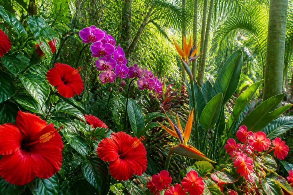 découvrez comment choisir la fleur exotique parfaite pour sublimer votre jardin tropical et lui apporter une touche de couleur et d'exotisme unique.